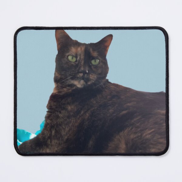 Item preview, Dignified Kitty  designed and sold by Amanda1775.