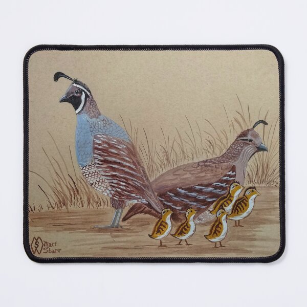 Item preview, California Quail with chicks  designed and sold by Matt Starr Fine Art .