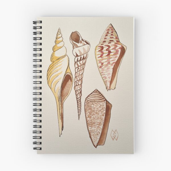 Item preview, Seashell Study  designed and sold by Matt Starr Fine Art .