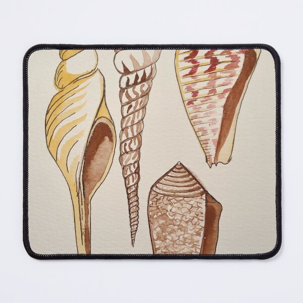 Item preview, Seashell Study designed and sold by Matt Starr Fine Art .