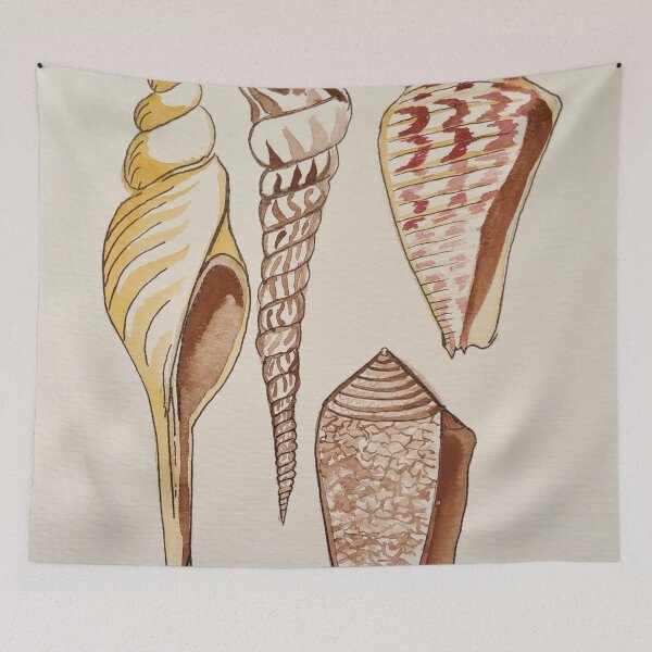 Item preview, Seashell Study  designed and sold by Matt Starr Fine Art .