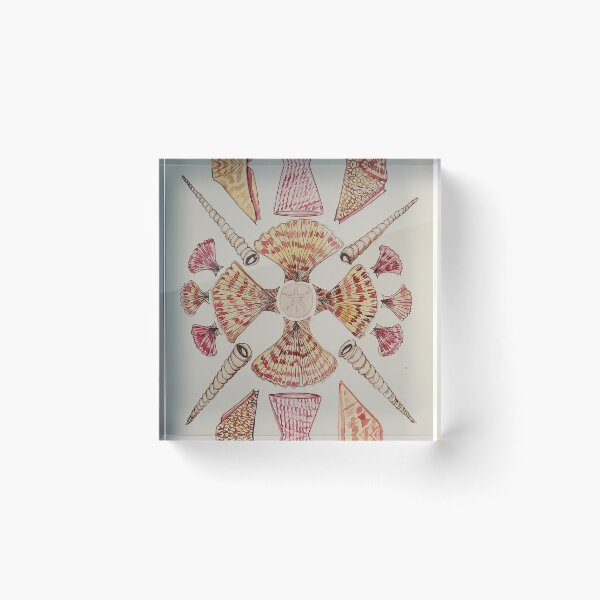 Item preview, Seashell Mandala  designed and sold by Matt Starr Fine Art .