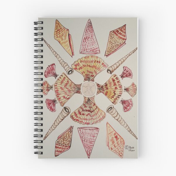 Item preview, Seashell Mandala  designed and sold by Matt Starr Fine Art .
