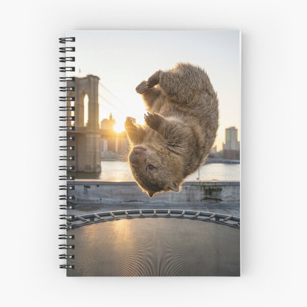 Item preview, Wombat on a Trampoline Near Brooklyn Bridge designed and sold by Tridentulus.