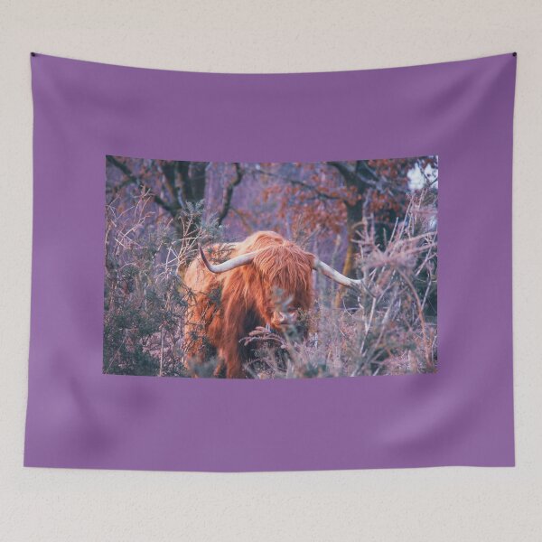 Item preview, Highland Cow No.2 designed and sold by Nature0wildlife.