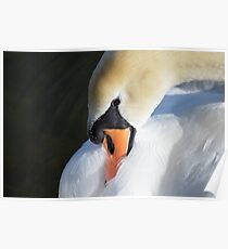 Restful Poster