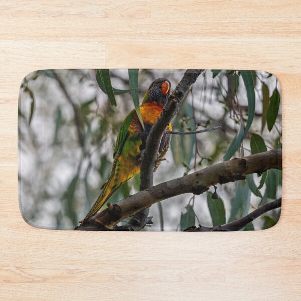 Item preview, Rainbow in the Canopy at Herdsman Lake designed and sold by Jan Fijolek.