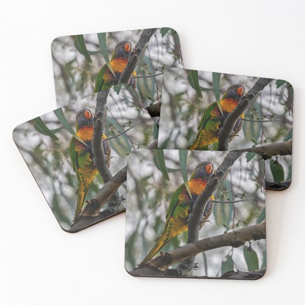 Item preview, Rainbow in the Canopy at Herdsman Lake designed and sold by Jan Fijolek.