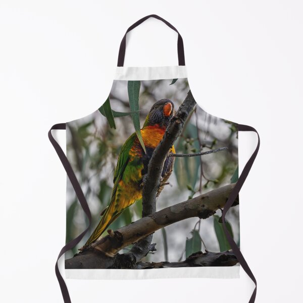 Item preview, Rainbow in the Canopy at Herdsman Lake designed and sold by Jan Fijolek.