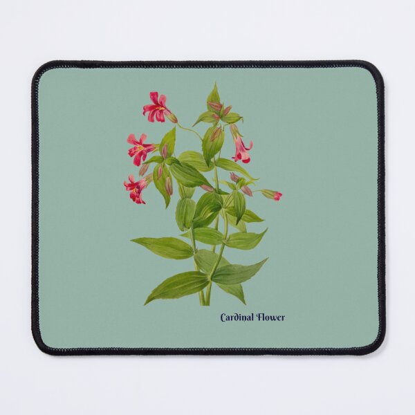 Item preview, Cardinal Flower Botanical Illustration  designed and sold by Rockyctees.