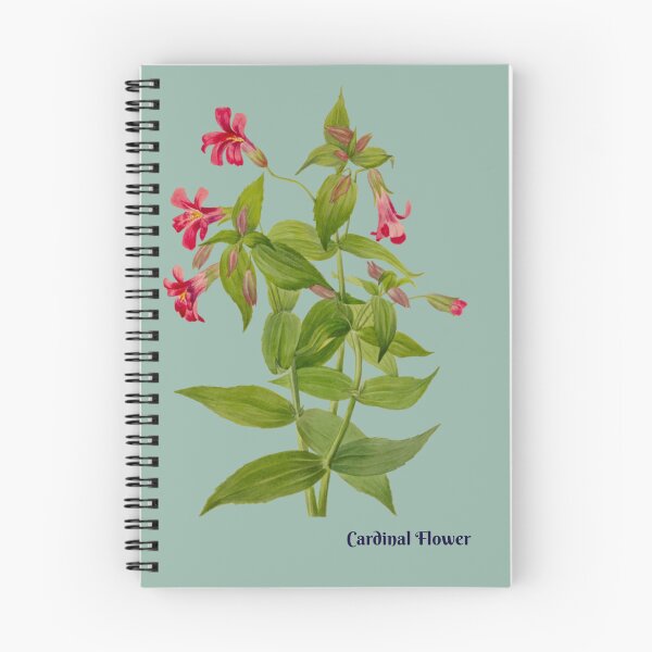 Item preview, Cardinal Flower Botanical Illustration  designed and sold by Rockyctees.