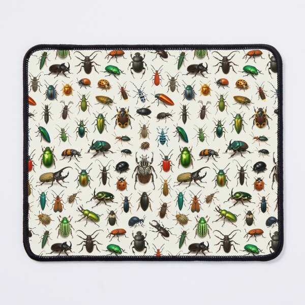 Item preview, Insects of the Order Coleoptera Retro Beetle Identification Chart designed and sold by kakarikihill.