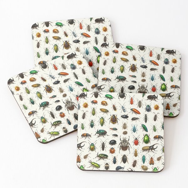 Item preview, Insects of the Order Coleoptera Retro Beetle Identification Chart designed and sold by kakarikihill.