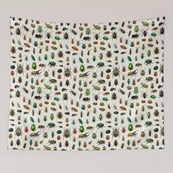 Item preview, Insects of the Order Coleoptera Retro Beetle Identification Chart designed and sold by kakarikihill.