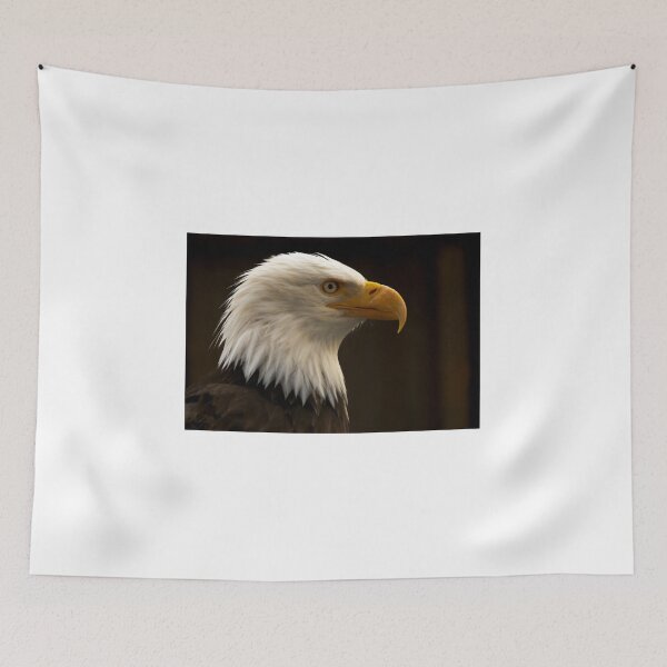 Item preview, American Beauty designed and sold by Andreas Mueller.