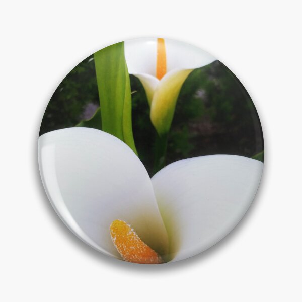 Item preview, Cala Cala Lily designed and sold by BC Family.