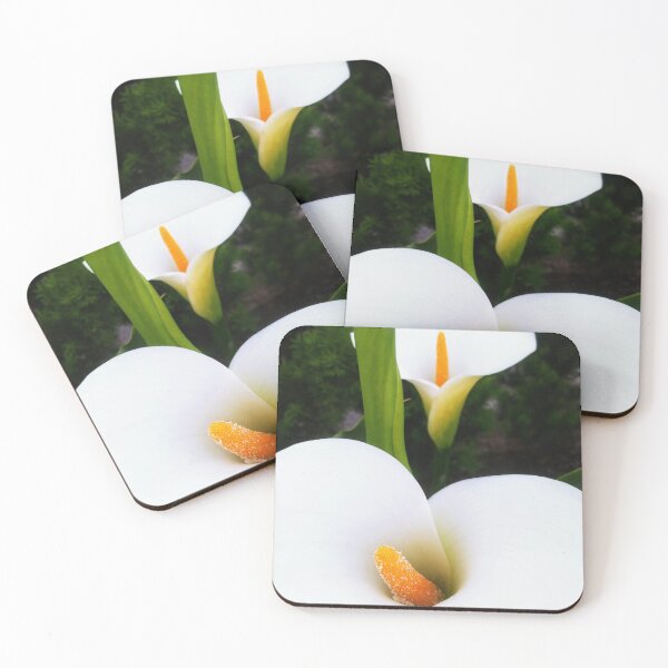 Item preview, Cala Cala Lily designed and sold by BC Family.