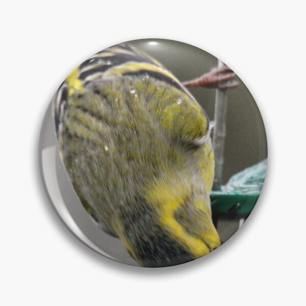 Item preview, siskin designed and sold by KathleenDawson.