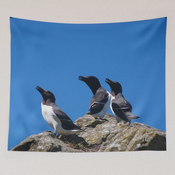Item preview, Ninjas in feathers designed and sold by vfphoto.