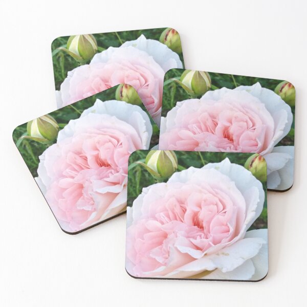 Item preview, Pretty Peony designed and sold by BC Family.