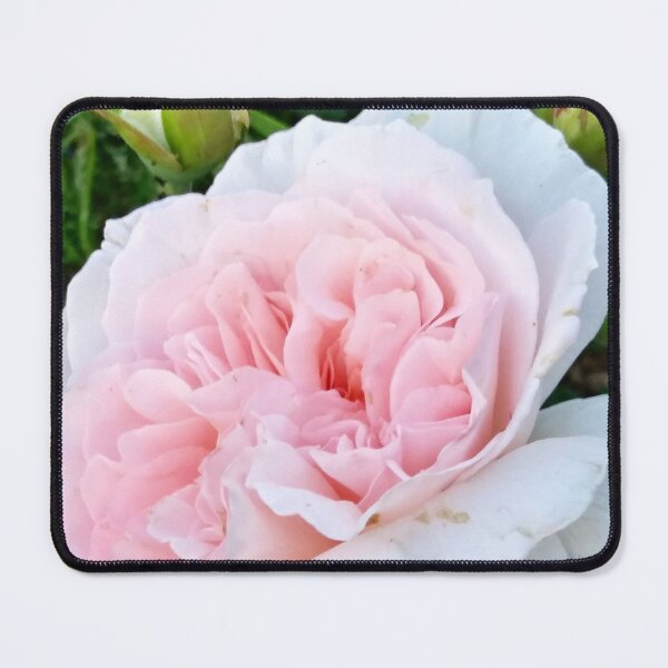 Item preview, Pretty Peony designed and sold by BC Family.