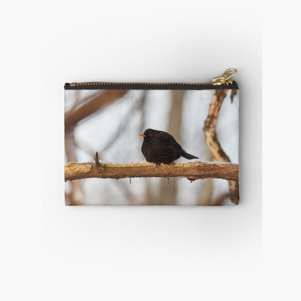 Item preview, Black one. Eurasian blackbird Winter 2026 designed and sold by Jouko Lehto Photography.