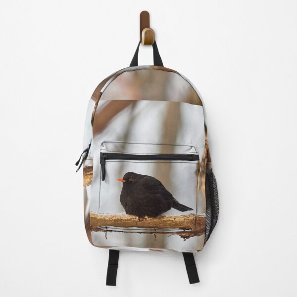 Item preview, Black one. Eurasian blackbird Winter 2026 designed and sold by Jouko Lehto Photography.
