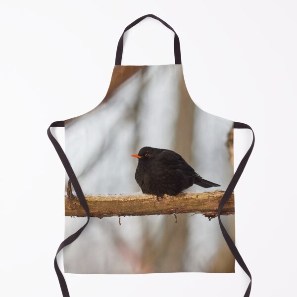 Item preview, Black one. Eurasian blackbird Winter 2026 designed and sold by Jouko Lehto Photography.