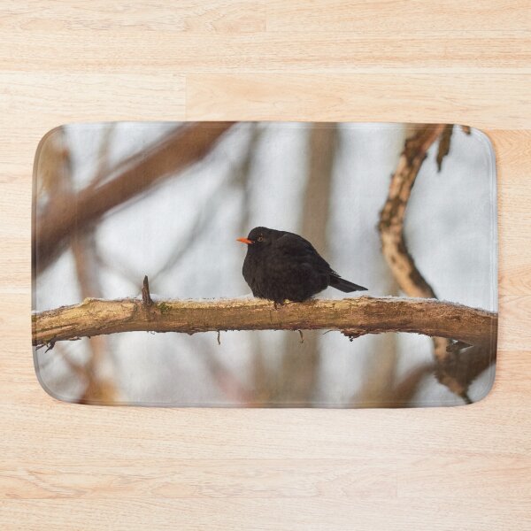 Item preview, Black one. Eurasian blackbird Winter 2026 designed and sold by Jouko Lehto Photography.