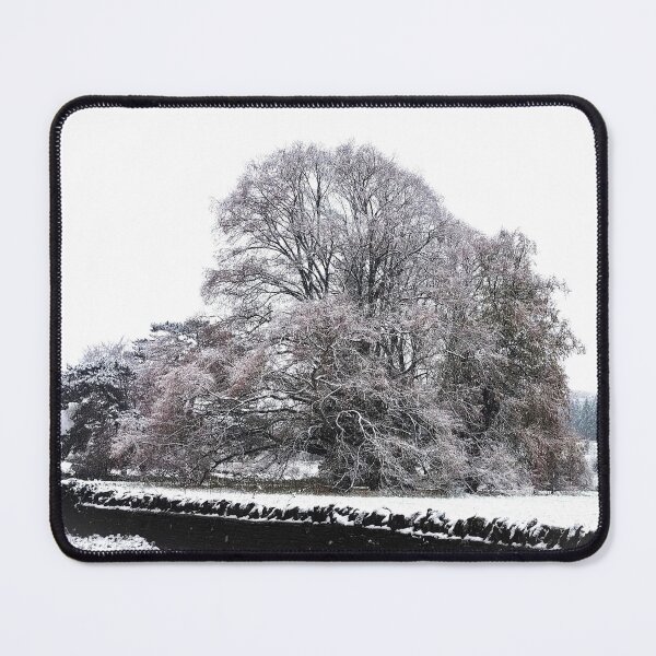 Item preview, Trees in Snow designed and sold by Murph's Images.
