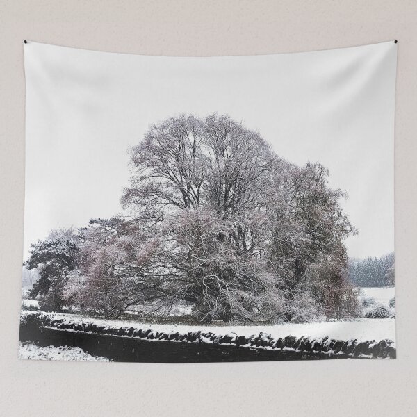Item preview, Trees in Snow designed and sold by Murph's Images.