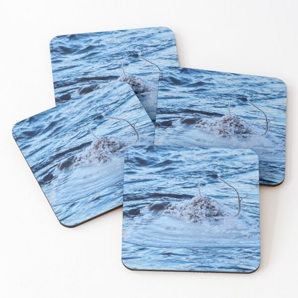 Item preview, Blues of the cold day. Winter 2026 designed and sold by Jouko Lehto Photography.
