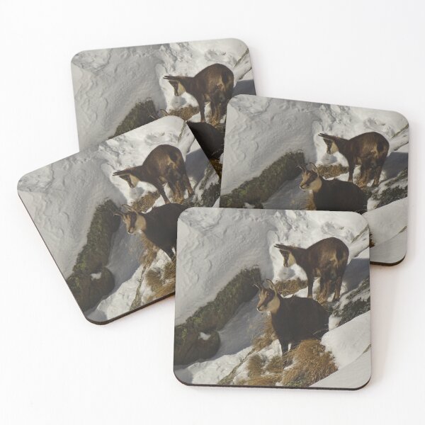 Item preview, Chamois in winter in the Mercantour designed and sold by CadresSauvages.