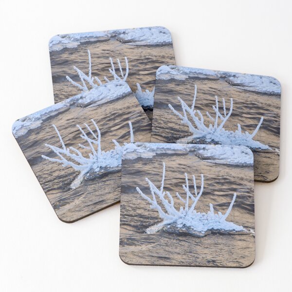 Item preview, Twigs. Winter 2026 designed and sold by Jouko Lehto Photography.