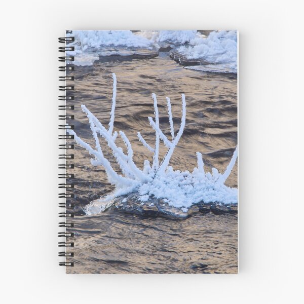 Item preview, Twigs. Winter 2026 designed and sold by Jouko Lehto Photography.