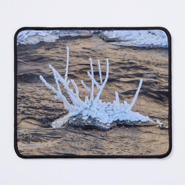 Item preview, Twigs. Winter 2026 designed and sold by Jouko Lehto Photography.