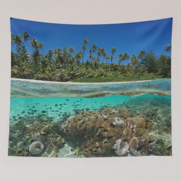 Item preview, Tropical sea shore anemone fish underwater designed and sold by Seaphotoart.