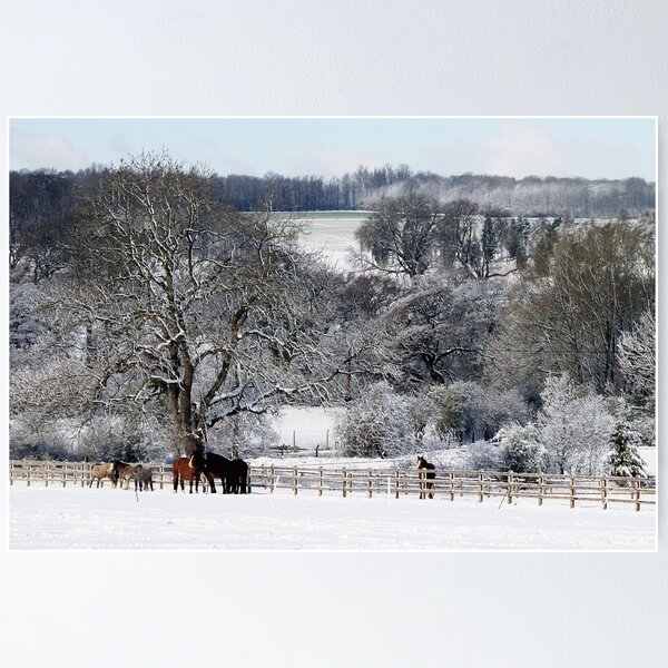 Item preview, Winter Horses designed and sold by Murph's Images.