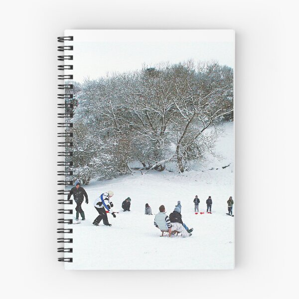 Item preview, Sledging  designed and sold by Murph's Images.