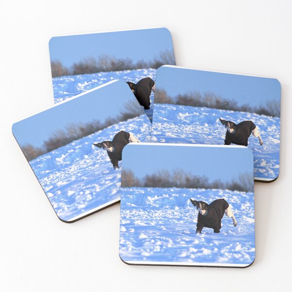 Item preview, No Fun Like Snow Fun designed and sold by Murph's Images.