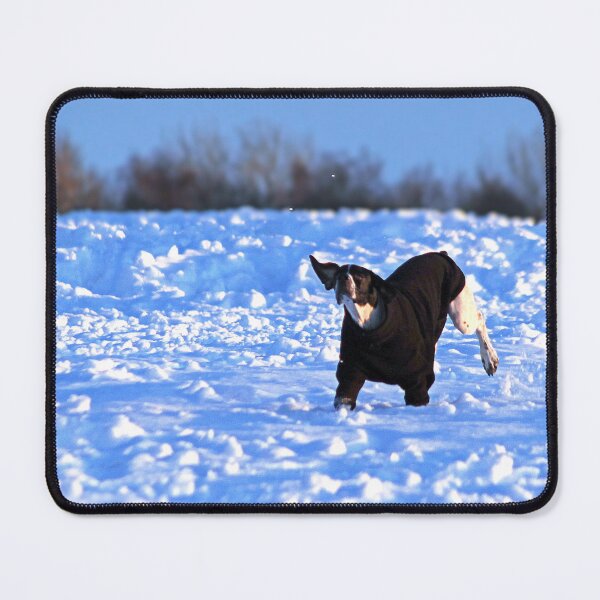 Item preview, No Fun Like Snow Fun designed and sold by Murph's Images.