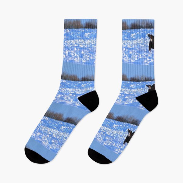 Item preview, No Fun Like Snow Fun designed and sold by Murph's Images.