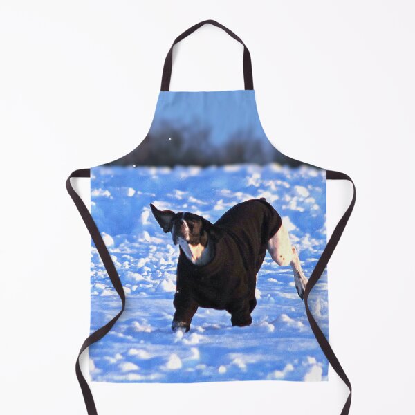 Item preview, No Fun Like Snow Fun designed and sold by Murph's Images.