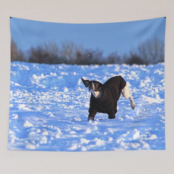 Item preview, No Fun Like Snow Fun designed and sold by Murph's Images.
