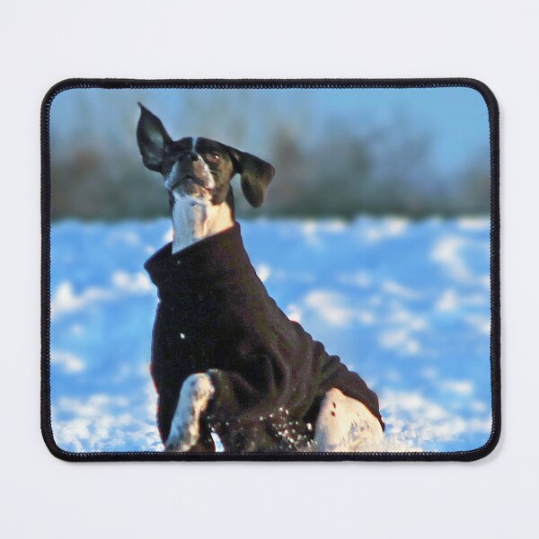 Item preview, Fun in the Snow designed and sold by Murph's Images.