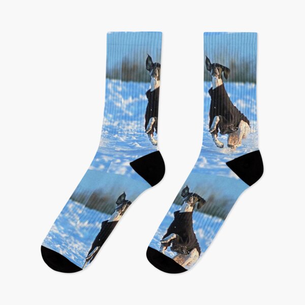 Item preview, Fun in the Snow designed and sold by Murph's Images.