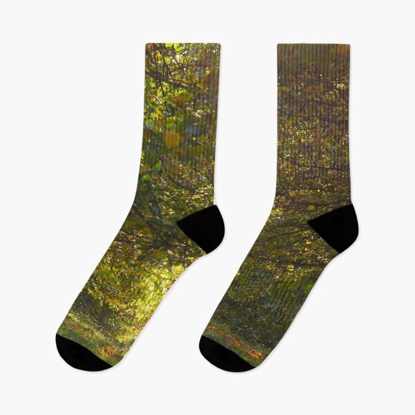 Item preview, Autumn Avenue designed and sold by Murph's Images.