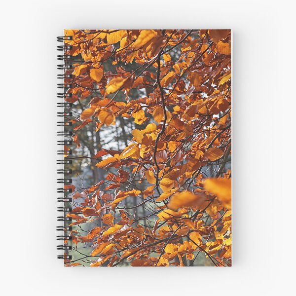 Item preview, Autumn Leaves designed and sold by Murph's Images.