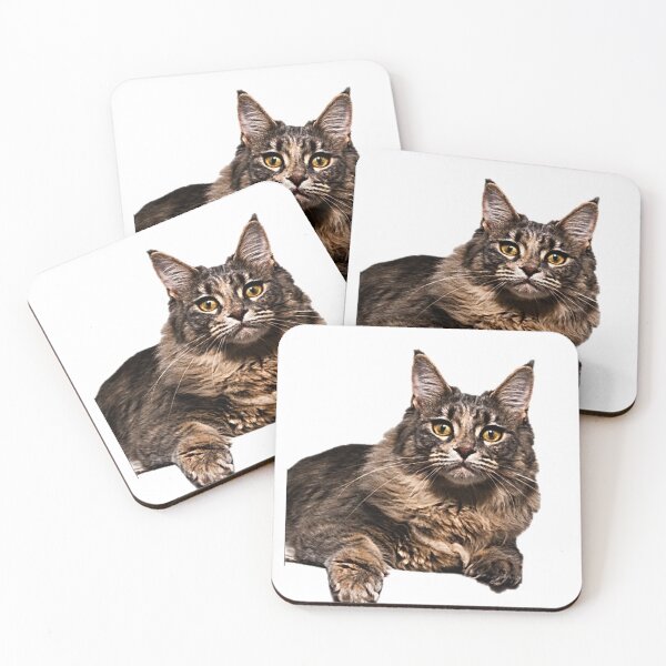 Item preview, Beautiful Cat designed and sold by NoxLand.