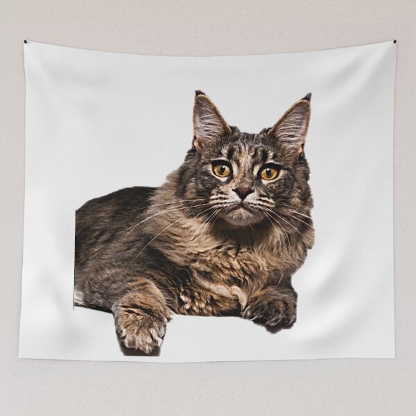 Item preview, Beautiful Cat designed and sold by NoxLand.
